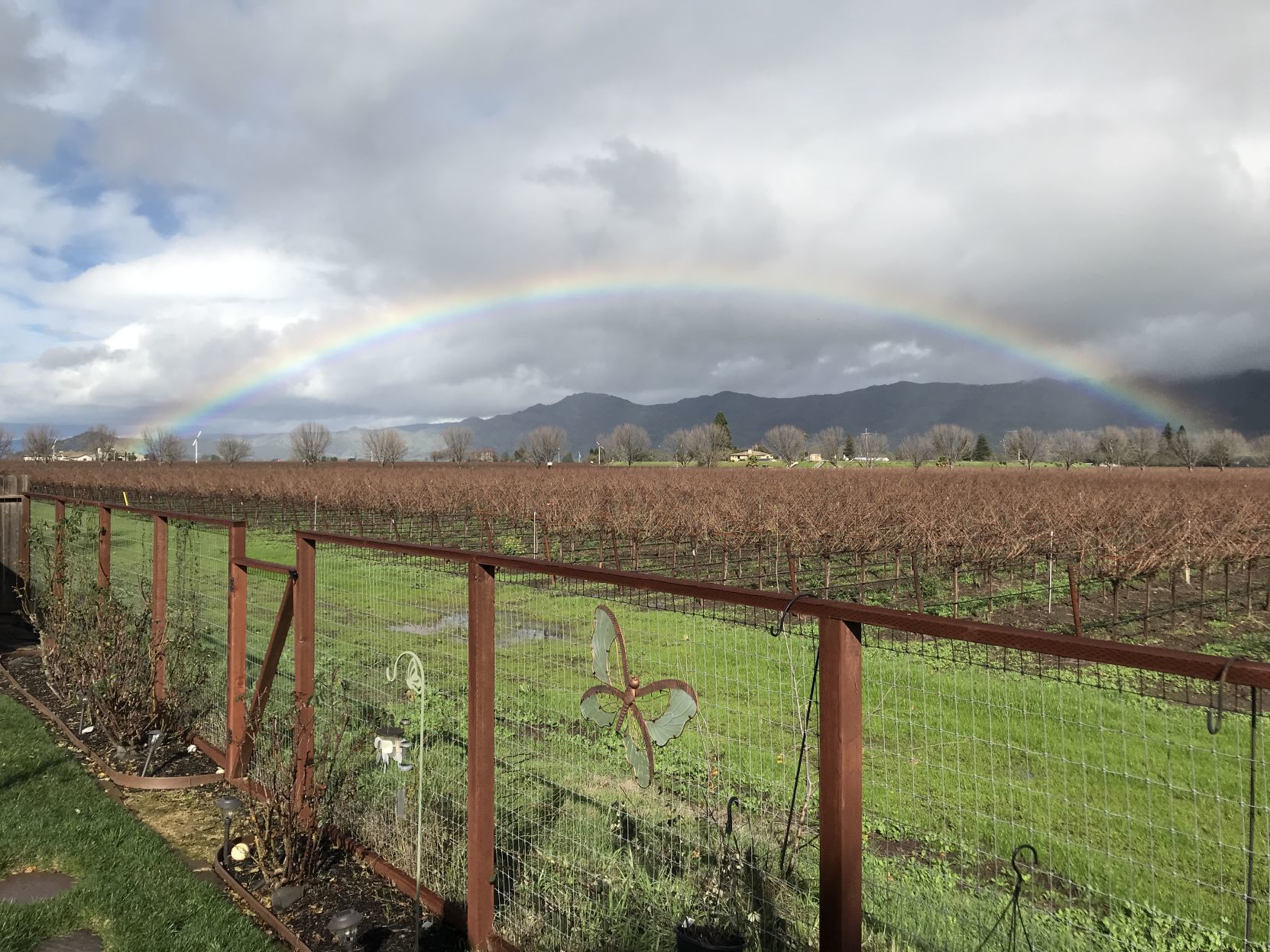 Rainbows in February